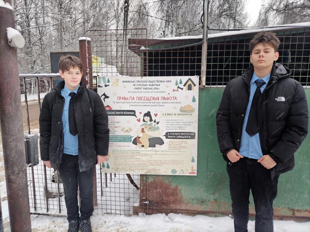 Акция помощи приюту "Майский день"