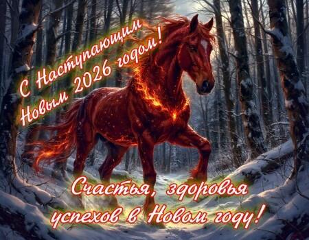 С наступающим Новым 2026 годом!
